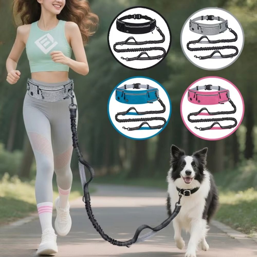 Nylon Running Dog Leash Multi  - огляд і ціна Running Gear Dog