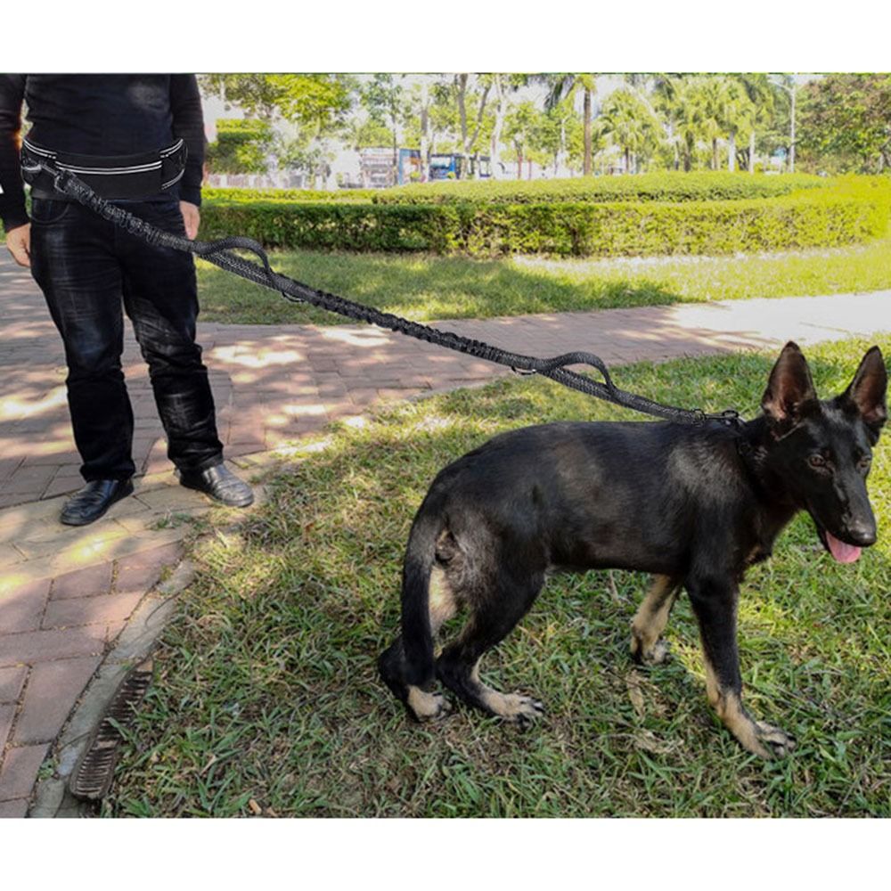 Nylon Running Dog Leash Multi  - огляд і ціна Running Gear Dog