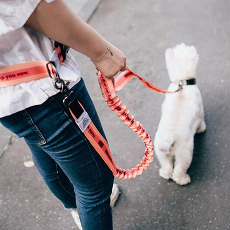 Adjustable Hand Free Dog Leash - огляд і ціна Running Gear Dog