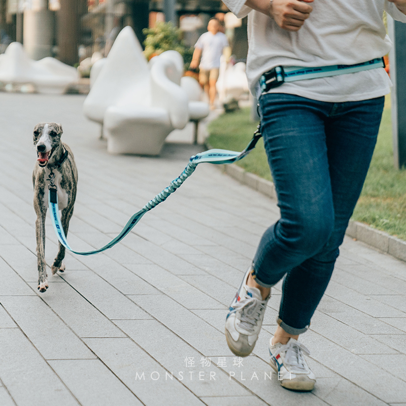 Adjustable Hand Free Dog Leash - огляд і ціна Running Gear Dog