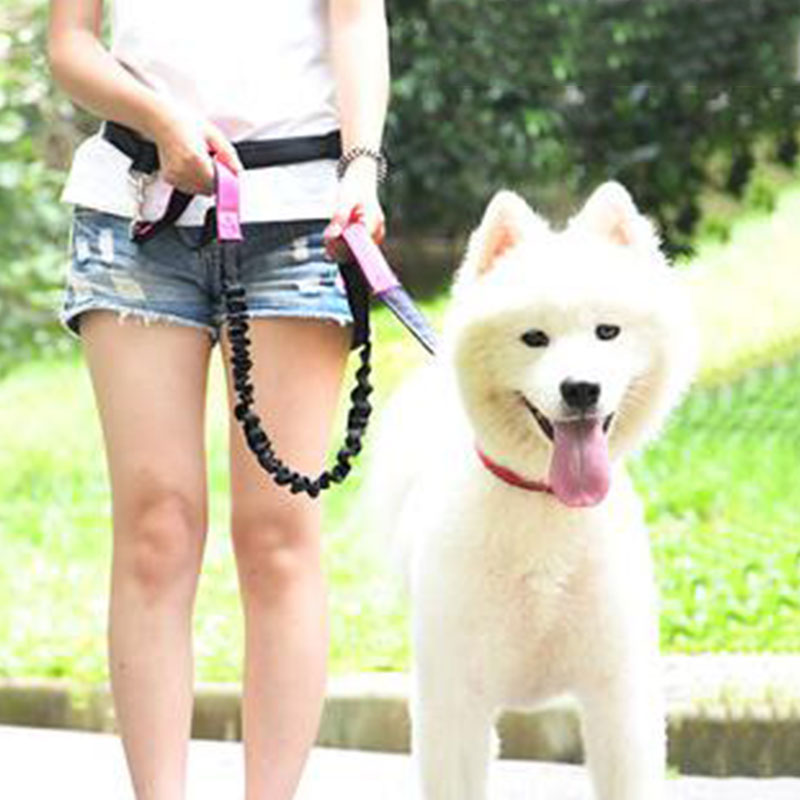 Adjustable Hand Free Dog Leash - огляд і ціна Running Gear Dog