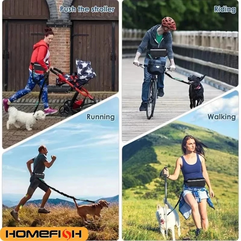 Hands‑Free Reflective Dog Leas - огляд і ціна Running Gear Dog