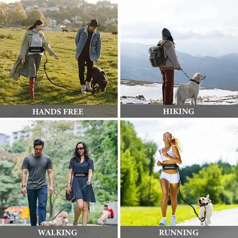 Hands‑Free Reflective Dog Leas - огляд і ціна Running Gear Dog